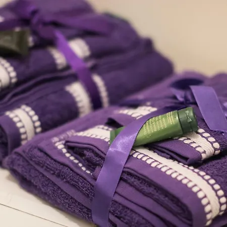 Classy Old Town 公寓 *