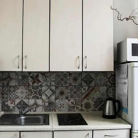 公寓 Classy Old Town 克莱佩达