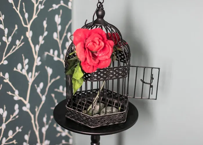 Classy Old Town 公寓 克莱佩达