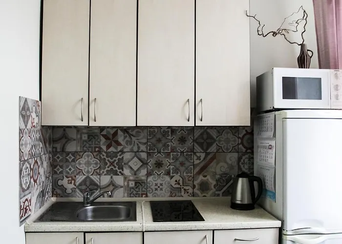 公寓 Classy Old Town 克莱佩达